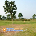 ေျမကြက္ အျမန္ ေရာင္းမည္