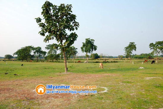 ေတာင္ၾကီးျမိဳ႕ ေျခာက္မိုင္အကြာ စီးပြားေရးဇုန္အနီး ေျမကြက္ေတြ အရႈပ္အရွင္း ျဖစ္မွာ စုိးလုိ႕ အေရာင္းအ၀ယ္ေအးစက္ - Property News in Myanmar from iMyanmarHouse.com