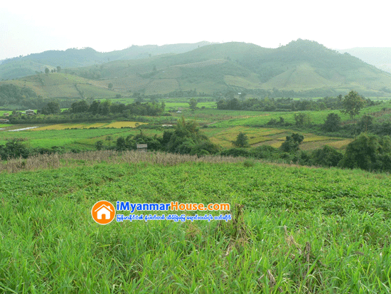 ရွမ္းျပည္နယ္အတြင္း သိမ္းဆည္းခံလယ္ယာေျမဧက ေျခာက္ေသာင္းေက်ာ္ ျပန္လည္စြန္႔လႊတ္ၿပီးဟုဆုိ - Property News in Myanmar from iMyanmarHouse.com