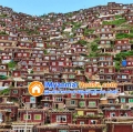 ေျမကြက္ အျမန္ ေရာင္းမည္