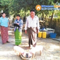 ေျမကြက္ အျမန္ ေရာင္းမည္