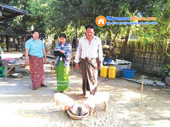 စဥ့္ကုိင္ၿမိဳ႕နယ္မုန္႔ေပါင္းေက်းရြာတြင္ ျမစိမ္းေရာင္ေက်းရြာစီမံကိန္း လုပ္ငန္းမ်ားကြင္းဆင္းစစ္ေဆး - Property News in Myanmar from iMyanmarHouse.com