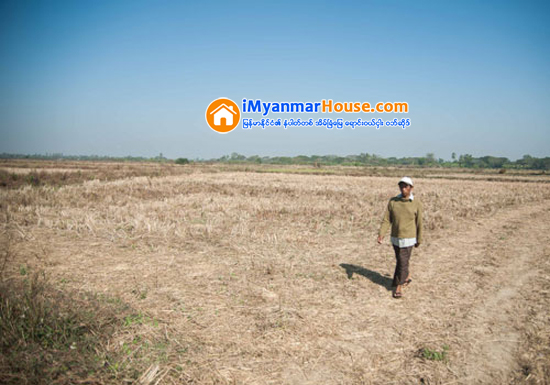 အေနာက္ေတာင္ၿမိဳ႕သစ္စီမံကိန္းတြင္ လယ္ယာေျမမ်ား အေရာင္းအ၀ယ္ပုိျဖစ္ေန - Property News in Myanmar from iMyanmarHouse.com