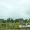ေျမကြက္ အျမန္ ေရာင္းမည္