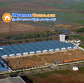 ေျမကြက္ အျမန္ ေရာင္းမည္