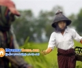 ေျမကြက္ အျမန္ ေရာင္းမည္