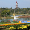 ေျမကြက္ အျမန္ ေရာင္းမည္