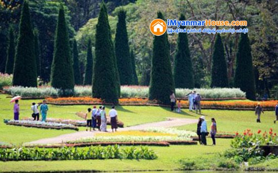 ပန္းျမိဳ႕ေတာ္ျပည္ဦးလြင္က ေျမေရာဂါကို ကုစားဖို႔ - Property News in Myanmar from iMyanmarHouse.com