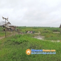 ေျမကြက္ အျမန္ ေရာင္းမည္