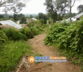 ေျမကြက္ အျမန္ ေရာင္းမည္