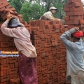 ေျမကြက္ အျမန္ ေရာင္းမည္