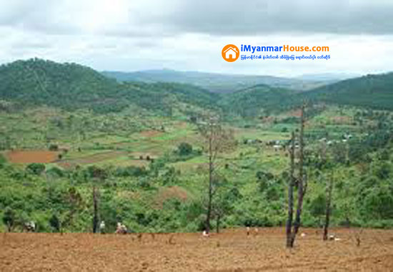 ျပည္ဦးလြင္ျမိဳ႕က သစ္ေတာဧရိယာမွာ အကြက္ရိုက္ေနတာေတြကို ဥပေဒအတိုင္း လုပ္ေဆာင္မည္ဟုဆို - Property News in Myanmar from iMyanmarHouse.com