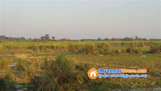 ဒဂံုက က်ပ္သိန္း၁၀၀ေအာက္ ေျမကြက္ေတြ အေရာင္းျပန္တင္လာ - Property News in Myanmar from iMyanmarHouse.com