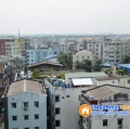 ေျမကြက္ အျမန္ ေရာင္းမည္