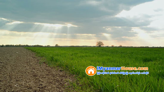 မေကြးတိုင္းတြင္ ျပည္သူတိုင္ၾကားစာ ၆၀ ေက်ာ္ရိွ၊ ေျမယာျပႆသာနာ အမ်ားဆံုးျဖစ္ဟုဆုိ - Property News in Myanmar from iMyanmarHouse.com