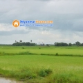 ေျမကြက္ အျမန္ ေရာင္းမည္