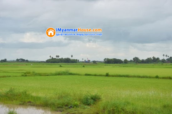 လယ္ေျမမွအပ ယာေျမကို အျခားနည္းလမ္း အသံုးျပဳခြင့္ေလွ်ာက္ျပီး လူေနထိုင္ႏိုင္ - Property News in Myanmar from iMyanmarHouse.com