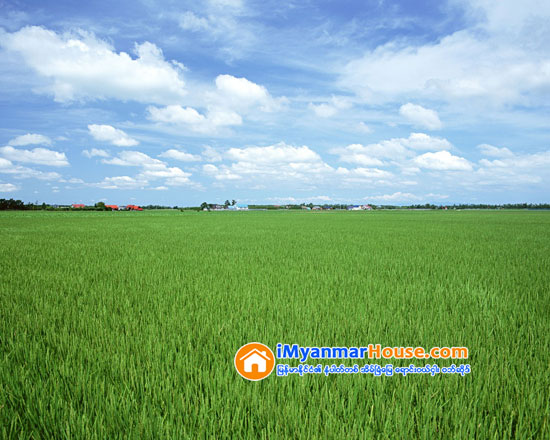ေျမယာပိုင္ဆိုင္မႈပံုစံ (၇) ခ်ေပးေရးကိစၥ ေျမစာရင္းဦးစီးဌာနႏွင့္ ျပည္သူတို႔ ညိႇႏိႈင္း - Property News in Myanmar from iMyanmarHouse.com