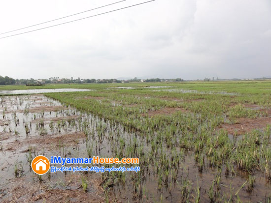 လယ္ယာေျမမ်ားအား ေျမဖို႔အသံုးျပဳေနျခင္းသည္ အစိုးရသစ္ကို စိန္ေခၚျခင္းျဖစ္ေၾကာင္း တနသၤာရီတိုင္းဝန္ႀကီးခ်ဳပ္ေျပာၾကား - Property News in Myanmar from iMyanmarHouse.com