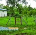 ေျမကြက္ အျမန္ ေရာင္းမည္
