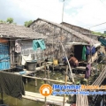 ေျမကြက္ အျမန္ ေရာင္းမည္