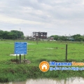 ေျမကြက္ အျမန္ ေရာင္းမည္