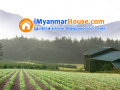 ေျမကြက္ အျမန္ ေရာင္းမည္