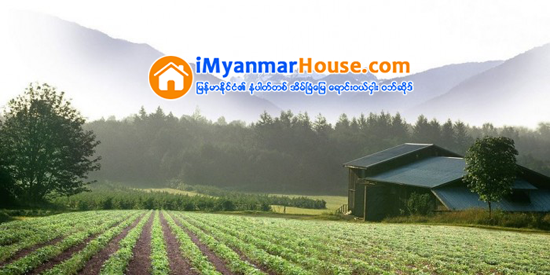 ရြာေျမကုိ သတ္မွတ္ေက်းရြာနယ္နိမိတ္အတြင္း ပါ၀င္မွသာ ၀ယ္ယူသင့္ - Property News in Myanmar from iMyanmarHouse.com