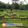 ေျမကြက္ အျမန္ ေရာင္းမည္