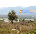 ေျမကြက္ အျမန္ ေရာင္းမည္