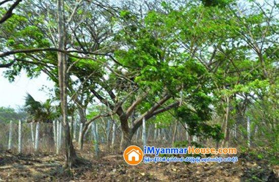 ဒဂံုၿမိဳ႕သစ္ ေလးေထာင့္ကန္အနီး ေျမဧက ၁၇၀ဝ ေက်ာ္ ေရာင္းဝယ္ၿငိမ္ - Property News in Myanmar from iMyanmarHouse.com