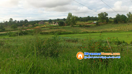 ၿမိဳ့သစ္စီမံကိန္းက လယ္ေျမေတြ မေရာင္းၾကပါနဲ႔ဦး - Property News in Myanmar from iMyanmarHouse.com