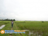 ေျမကြက္ အျမန္ ေရာင္းမည္