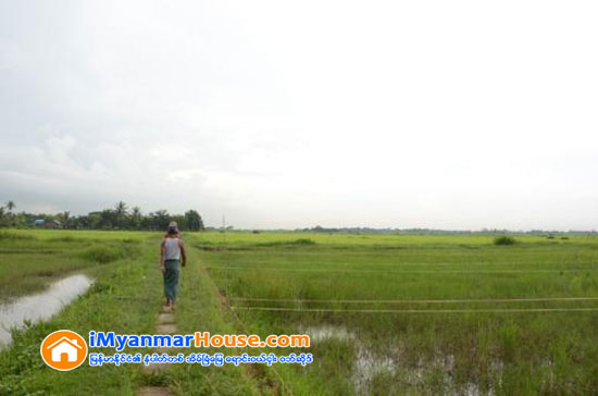 လာရာေကာင္းမွ လားရာေကာင္းမယ့္ ၿမိဳ႕ေျမေစ်းမ်ား - Property News in Myanmar from iMyanmarHouse.com