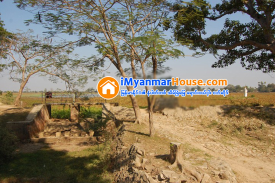ေက်းရြာေျမငွားဂရန္ထုတ္ေပးေရး ကြင္းဆင္းေဆာင္ရြက္ - Property News in Myanmar from iMyanmarHouse.com
