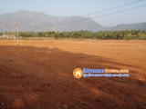 ေျမကြက္ အျမန္ ေရာင္းမည္
