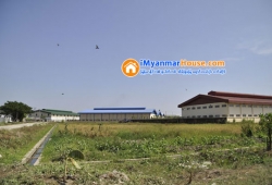 ေျမကြက္ အျမန္ ေရာင္းမည္