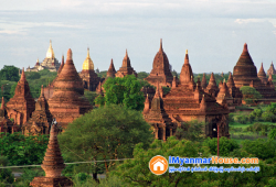 ေျမကြက္ အျမန္ ေရာင္းမည္