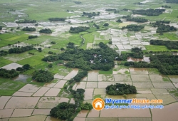 ေျမကြက္ အျမန္ ေရာင္းမည္