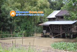 ေျမကြက္ အျမန္ ေရာင္းမည္
