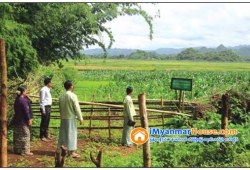 ေျမကြက္ အျမန္ ေရာင္းမည္