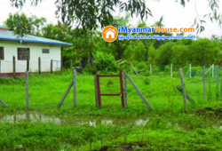 ေျမကြက္ အျမန္ ေရာင္းမည္