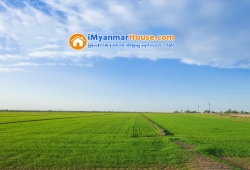 ေျမကြက္ အျမန္ ေရာင္းမည္