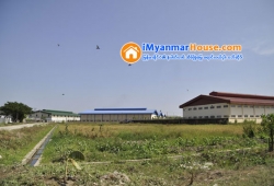 ေျမကြက္ အျမန္ ေရာင္းမည္