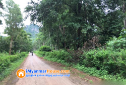 ေျမကြက္ အျမန္ ေရာင္းမည္