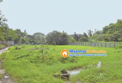 ေျမကြက္ အျမန္ ေရာင္းမည္