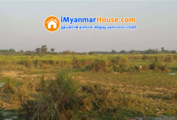 ေျမကြက္ အျမန္ ေရာင္းမည္