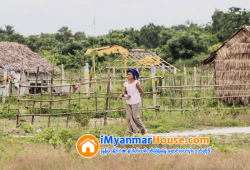 ေျမကြက္ အျမန္ ေရာင္းမည္