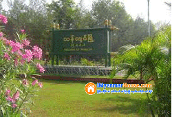 ေျမကြက္ အျမန္ ေရာင္းမည္