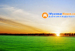 ေျမကြက္ အျမန္ ေရာင္းမည္